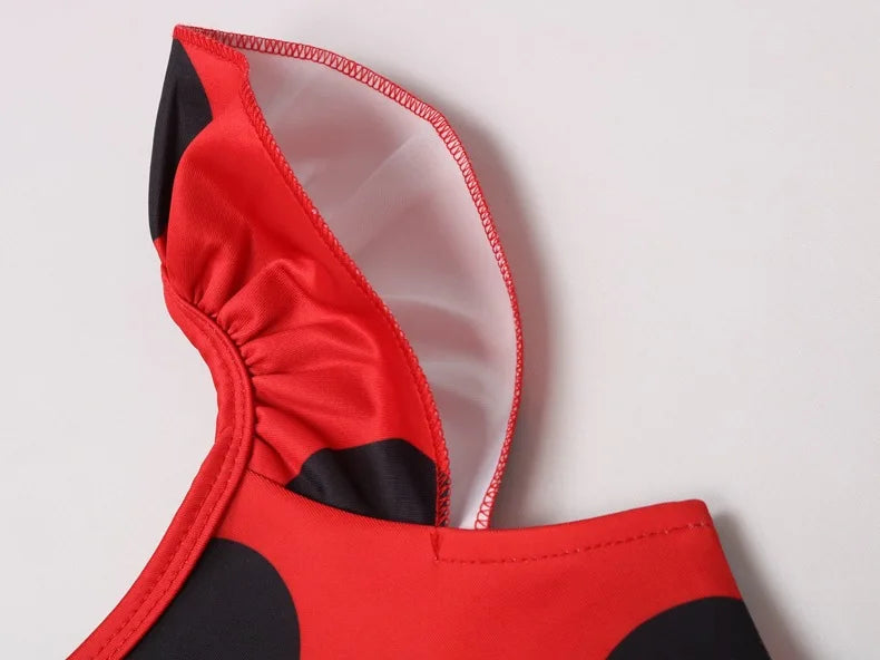 Fantasia Ladybug - Miraculous Verão