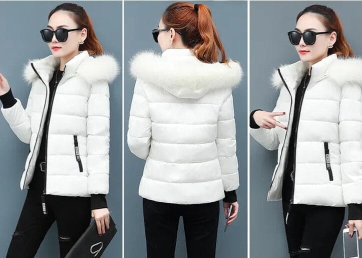 Jaqueta Bobojaco feminino PA55 - Jaqueta Bobojaco feminino espaco shop