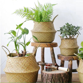 Cesta de Palha (vime/rattan/seagrass) para Organização, Roupas ou Plantas (vaso)